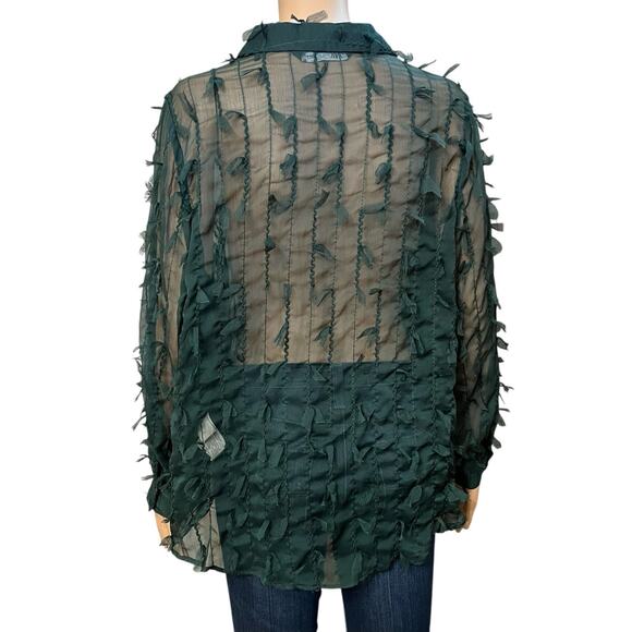 Zara Fringe Button Down Blouse Small Sheer Chiffon Dark Green Long Sleeve Goth - Picture 3 of 9